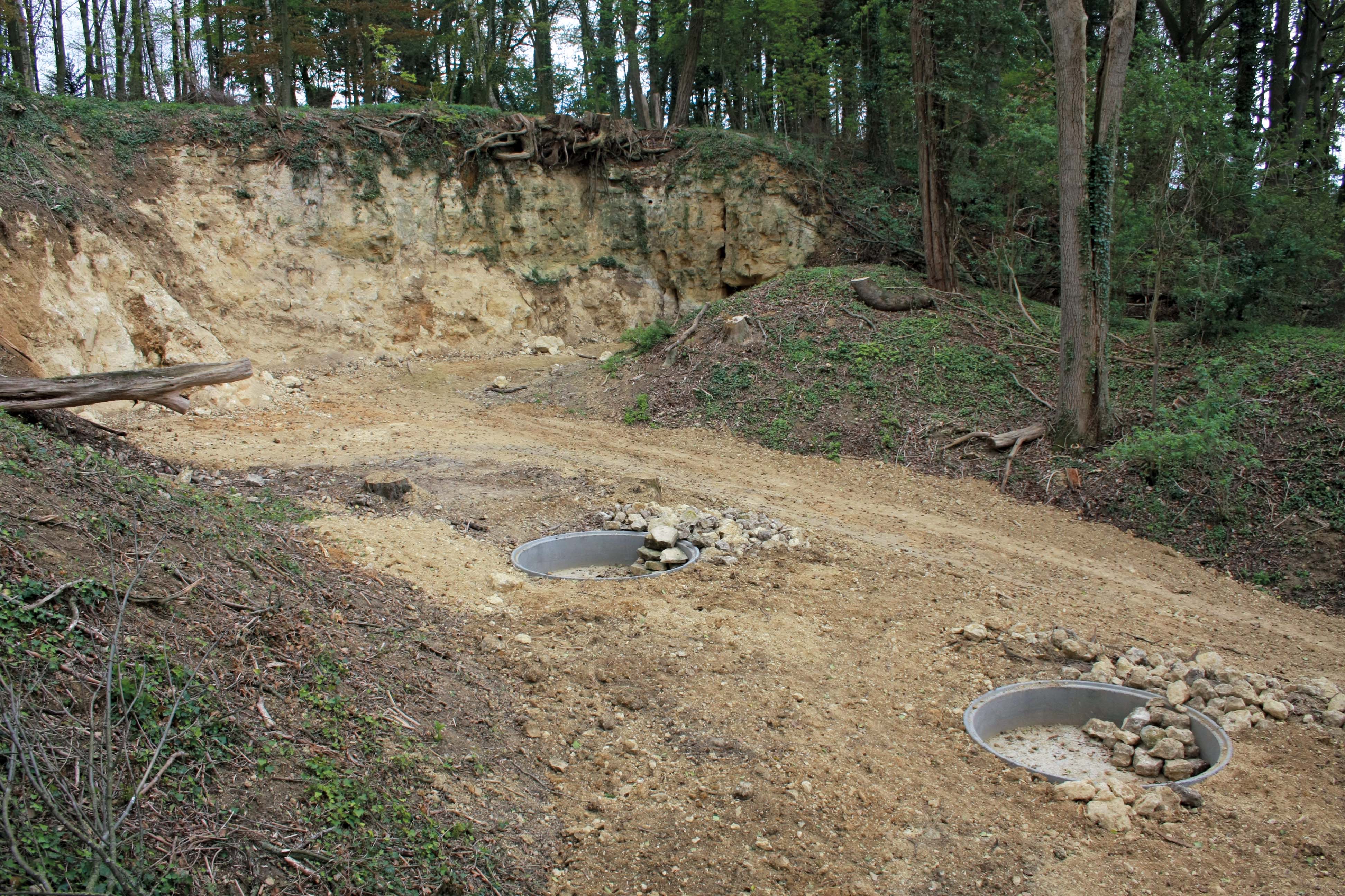 limestone quarry, micro-habitat conditions 