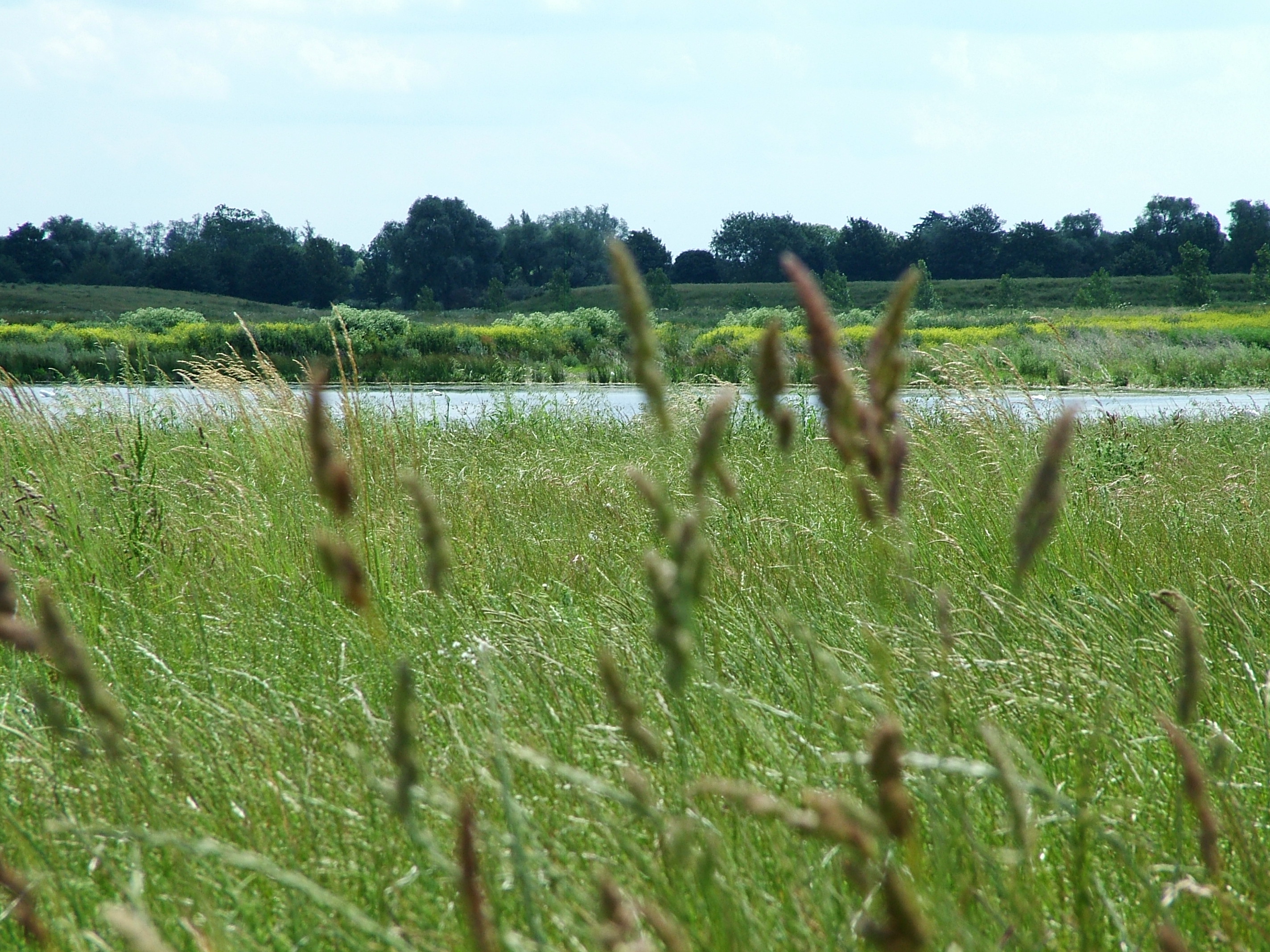 Needingworth quarry in Cambridgeshire