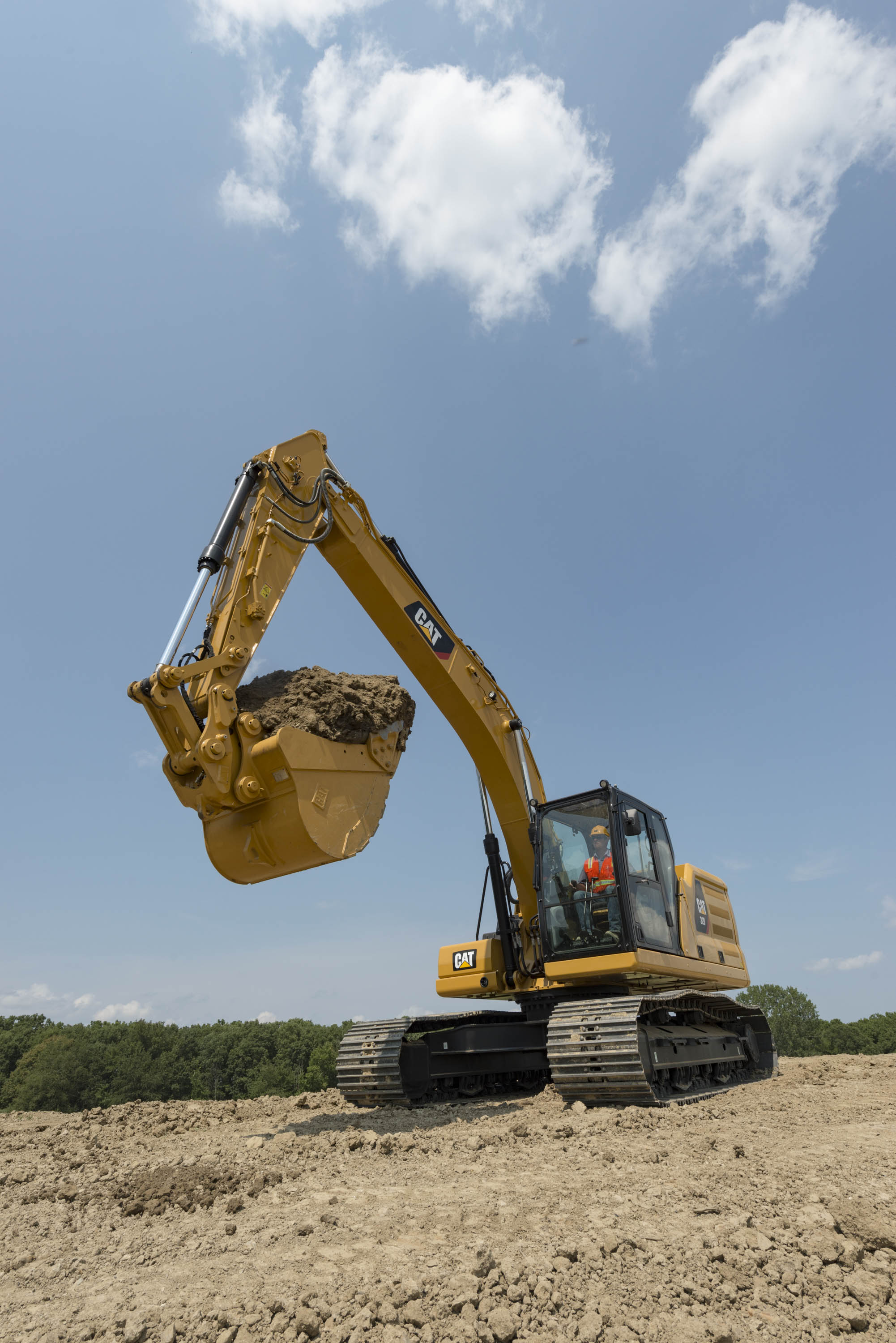 Cat 320 Beauty Vertical