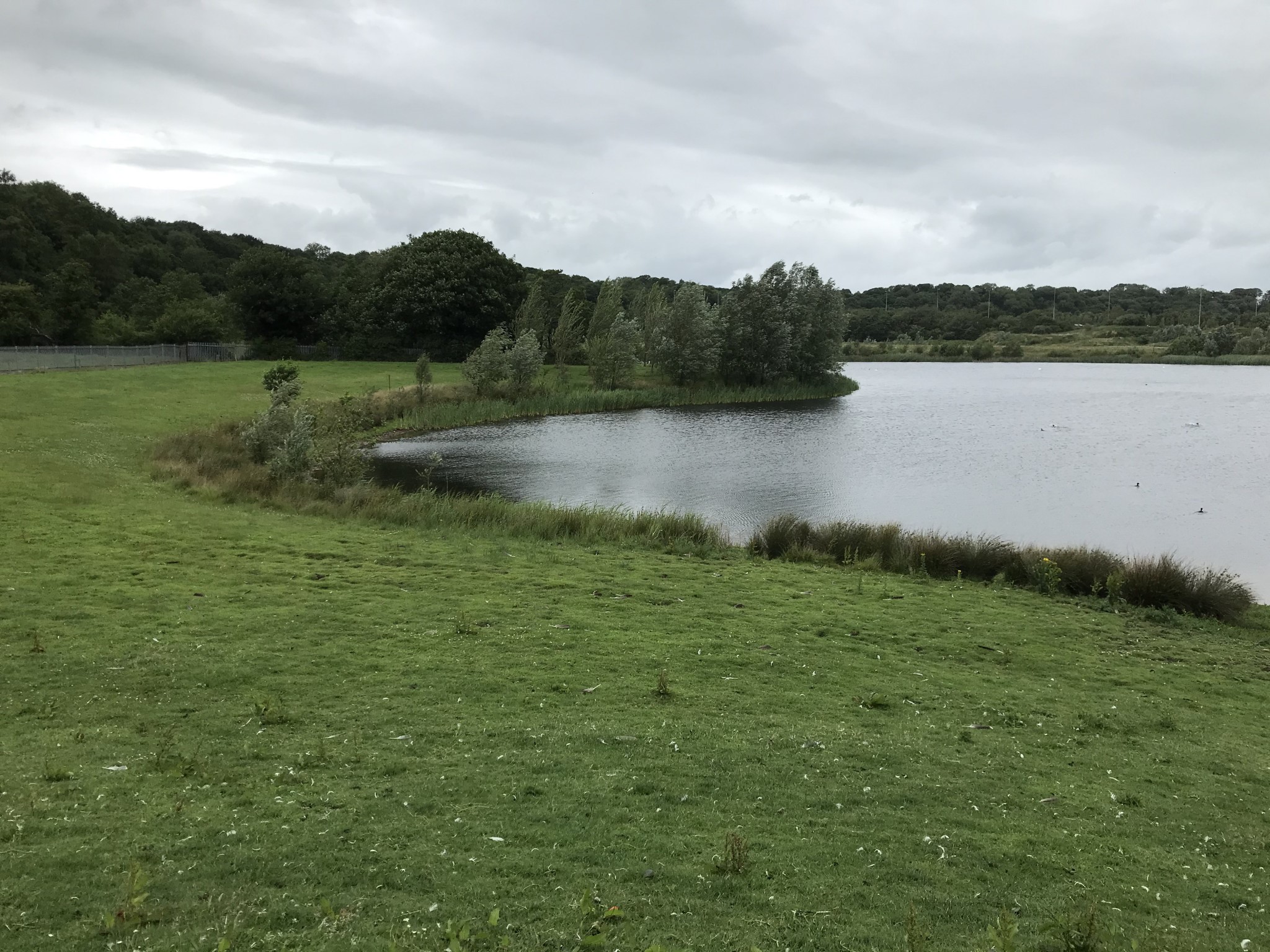  The planned quarry site near Stanley Ferry