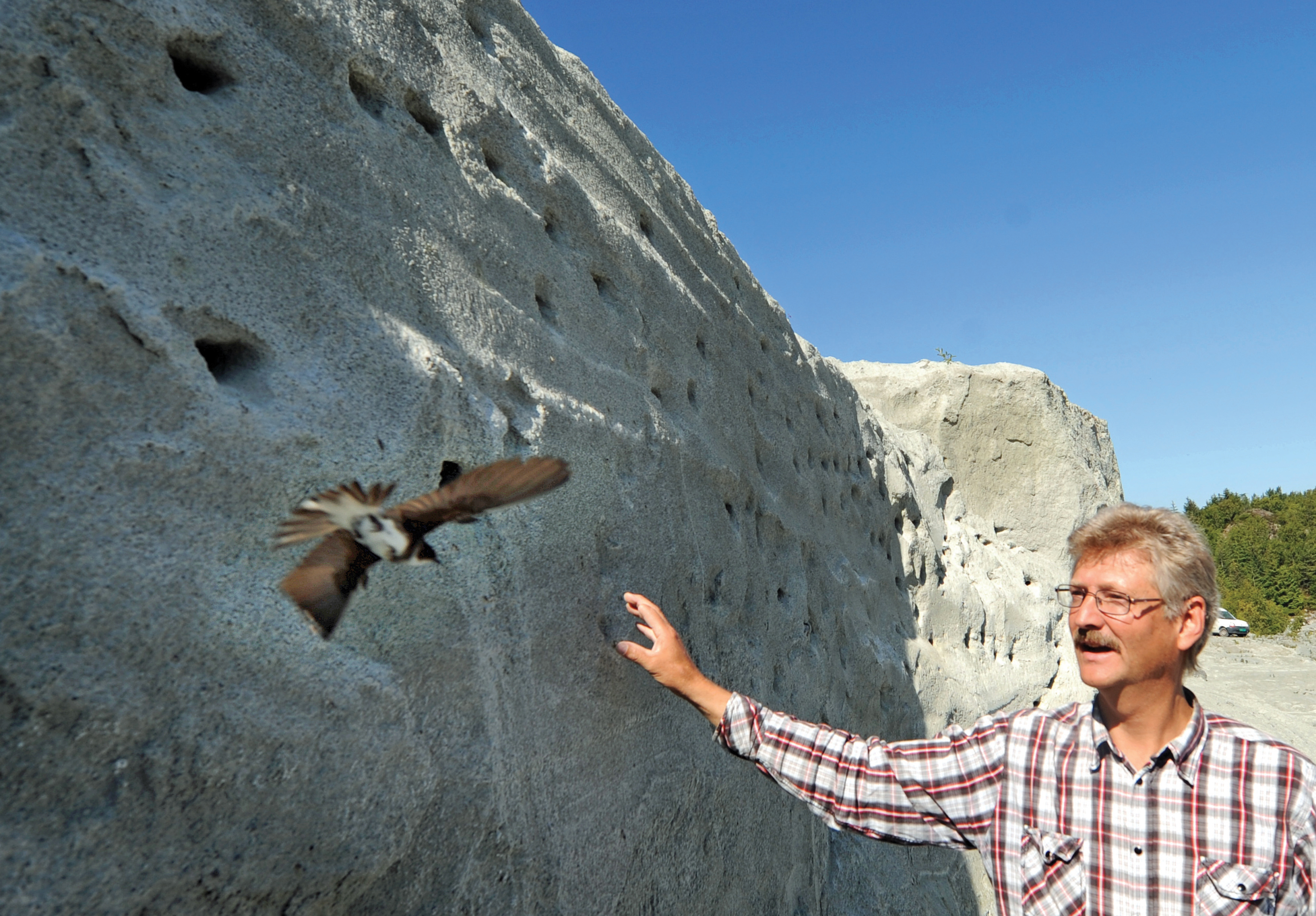 Protect Sand martins 