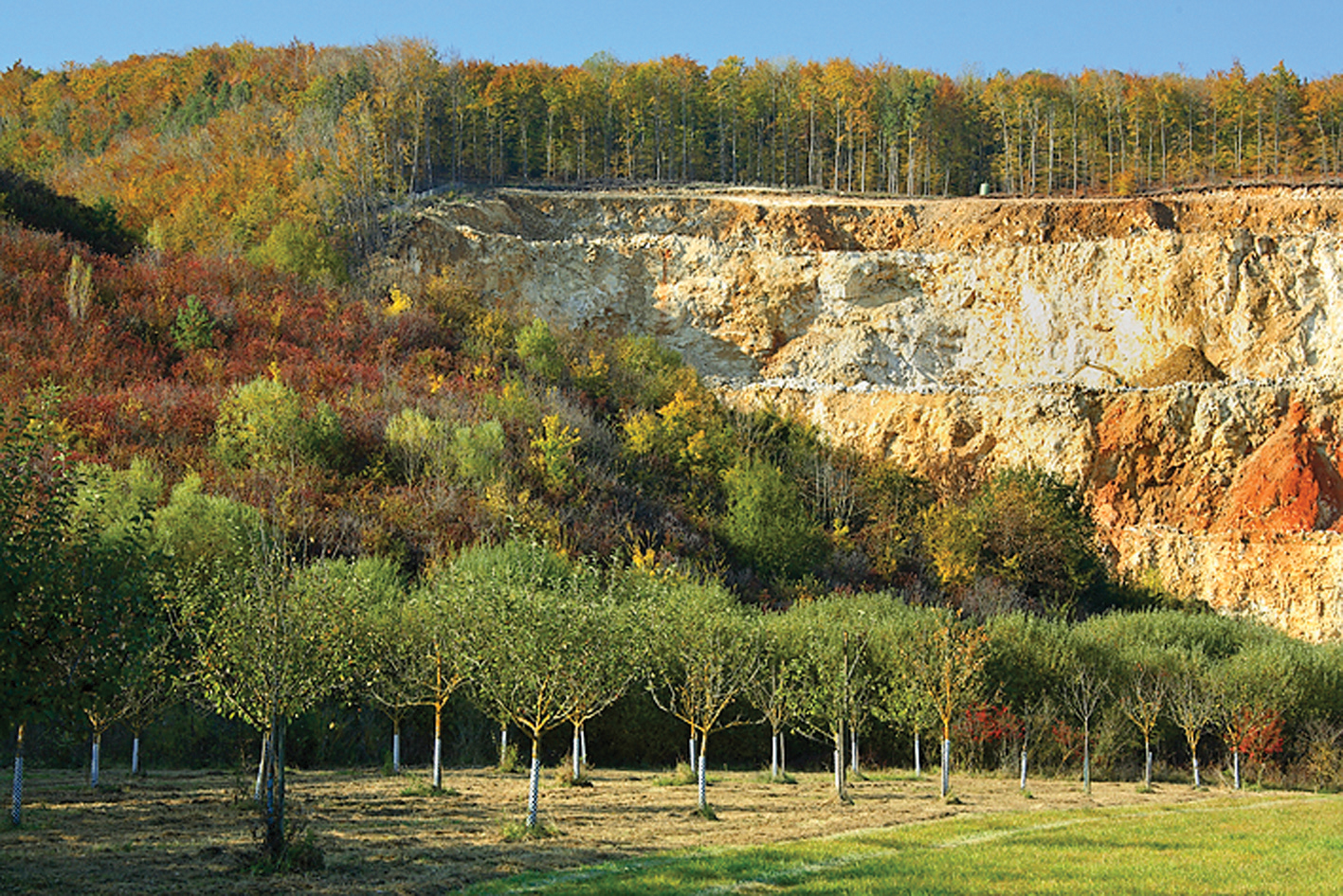 Quarries play an important roles as habitats for a huge number of species