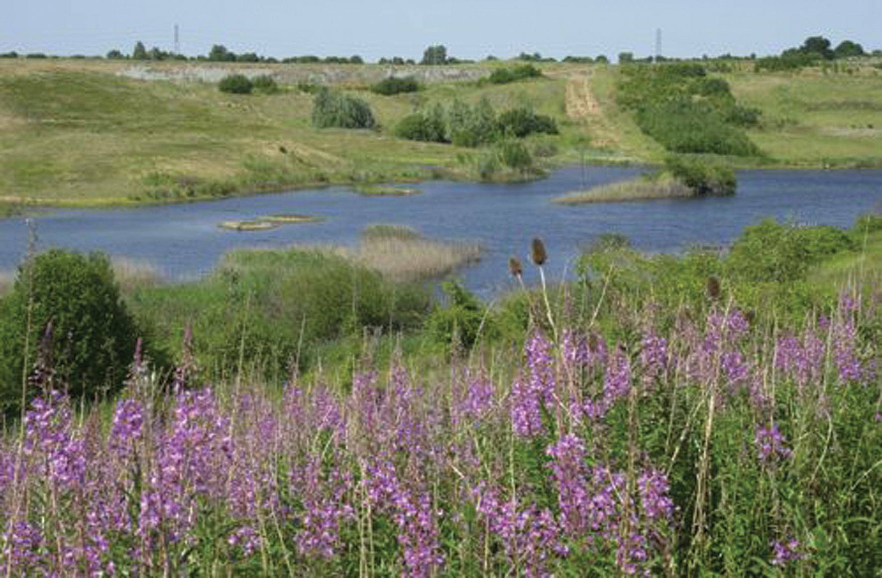 Hanson’s Kings Dyke Nature Reserve