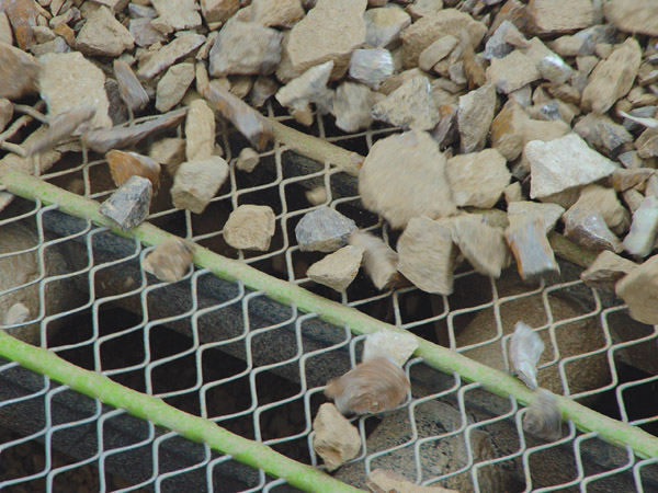 stones on a grill