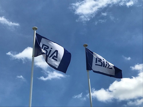 BIA flag