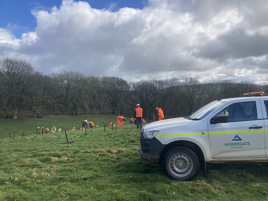 Tree planting at Hillhead Quarry