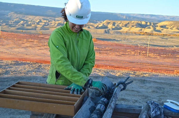 USGS scientist Sarah Hawkins collects a core. Pic - Joshua Hicks, USGS