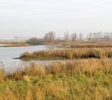 Wenduine Clay Pits in West Flanders, Belgium 