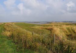 Aggregate Industries’ assisted Wallasea Island