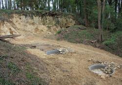 limestone quarry, micro-habitat conditions 