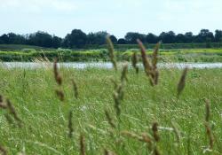 Needingworth quarry in Cambridgeshire