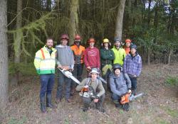 Arboriculture and forestry apprentices 