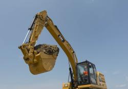 Cat 320 Beauty Vertical