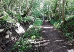 Tillicoultry Quarries has provided gravel to improve drainage at Gifford Community Woodland