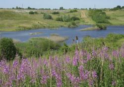 Hanson’s Kings Dyke Nature Reserve