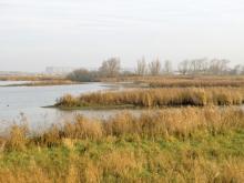 Wenduine Clay Pits in West Flanders, Belgium 