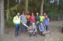 Arboriculture and forestry apprentices 