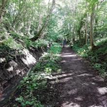 Tillicoultry Quarries has provided gravel to improve drainage at Gifford Community Woodland