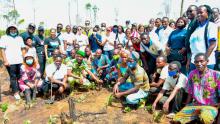 Members of the Benin reforestation team