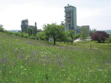 Transforming quarries into species-rich biotopes