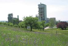 Transforming quarries into species-rich biotopes